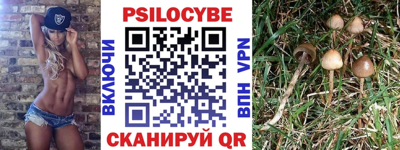 omg рабочий сайт  где найти   Алушта  Псилоцибиновые грибы Magic Shrooms 